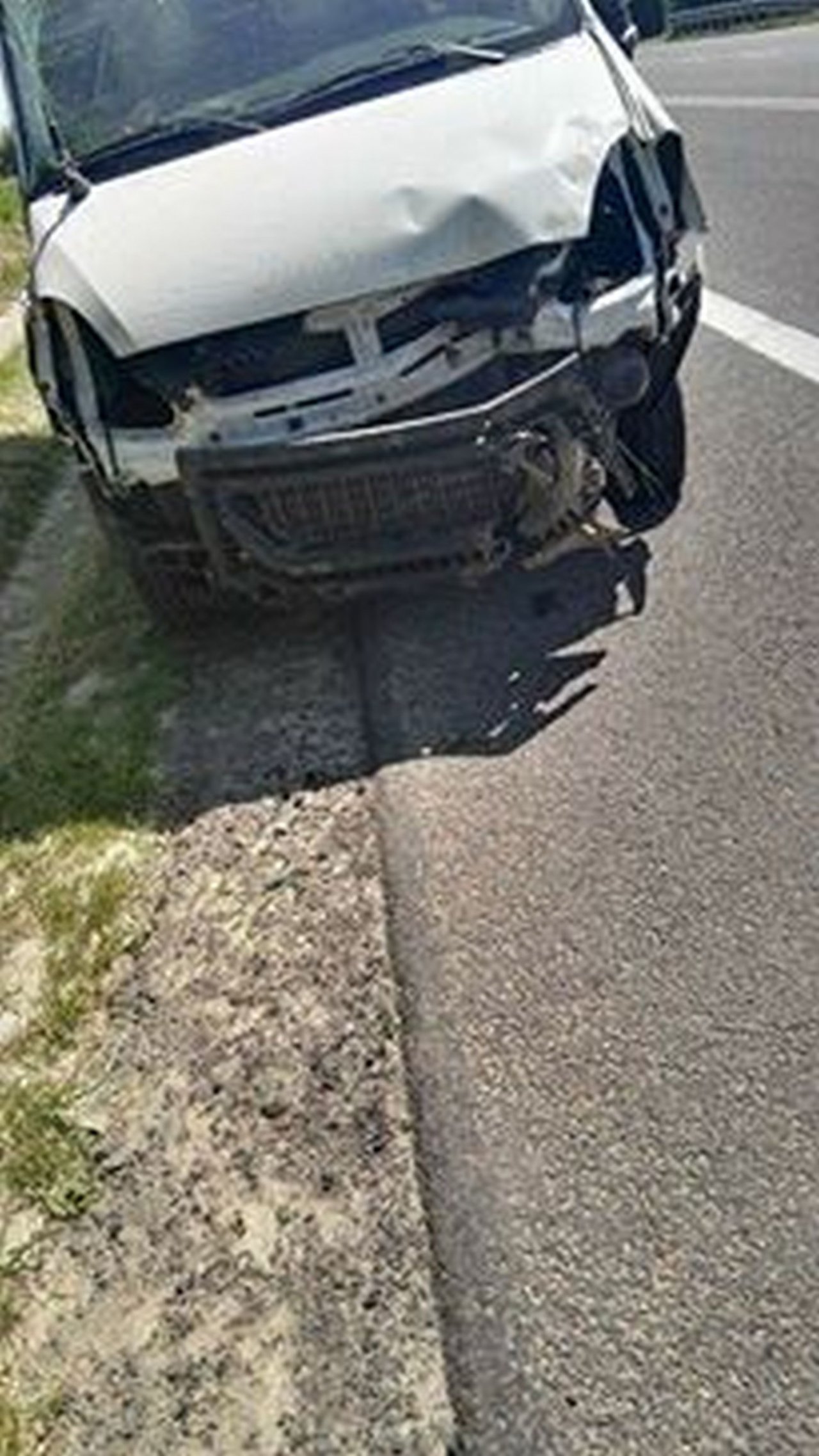 46