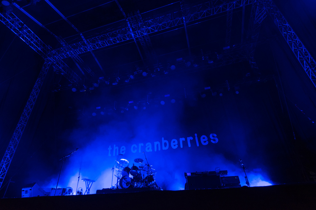 cranberries_01