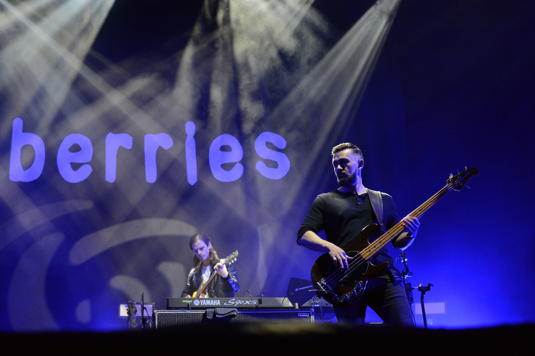 cranberries_04