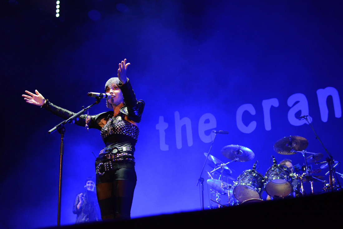 cranberries_05