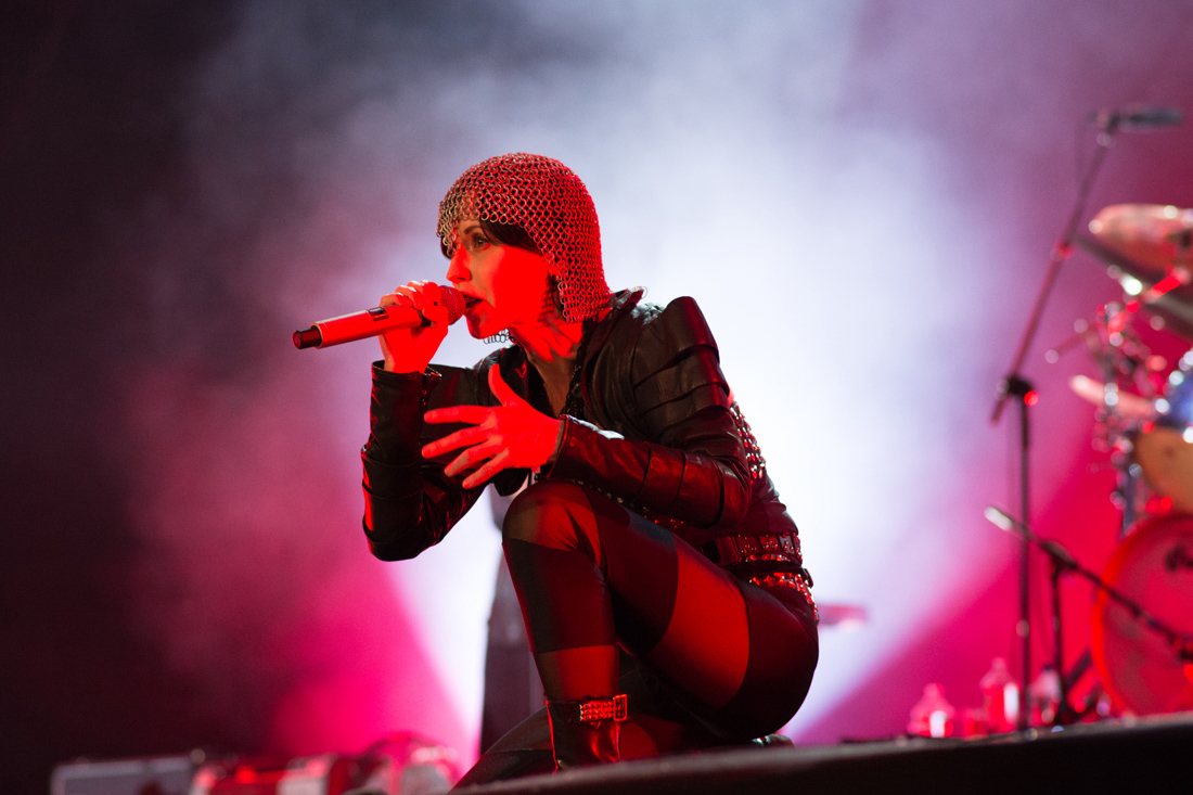 cranberries_10