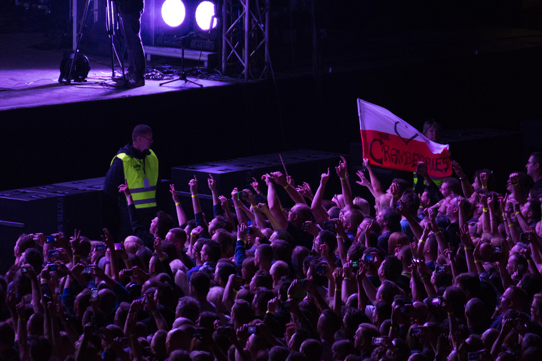 cranberries_18
