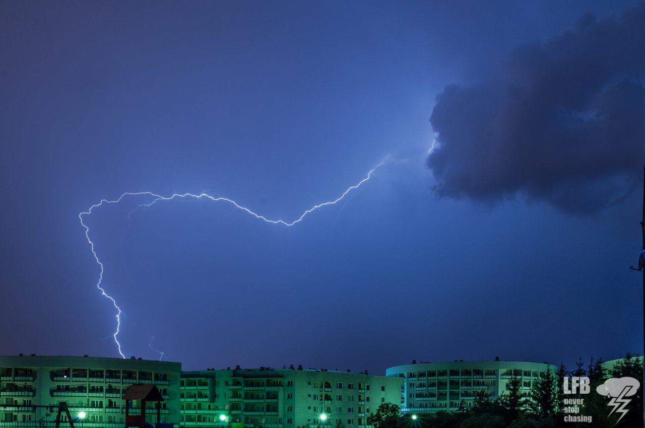 cvdf