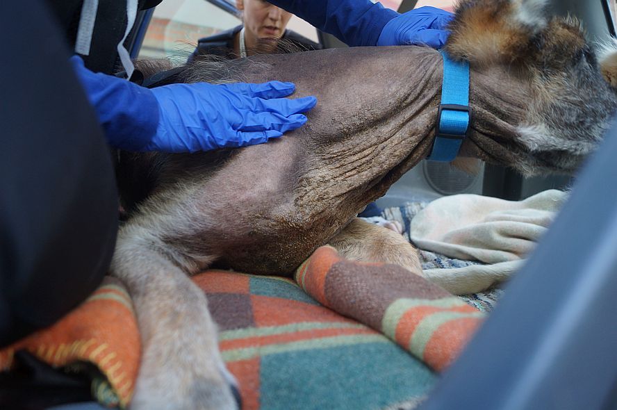 50