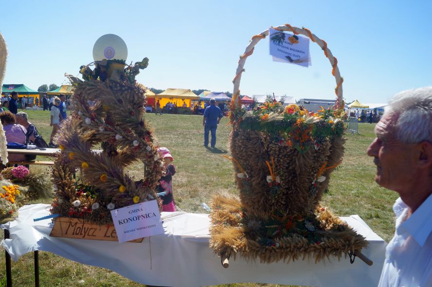 DSC02010