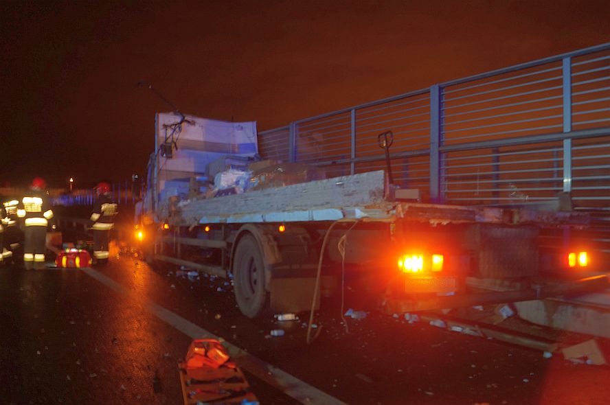 42