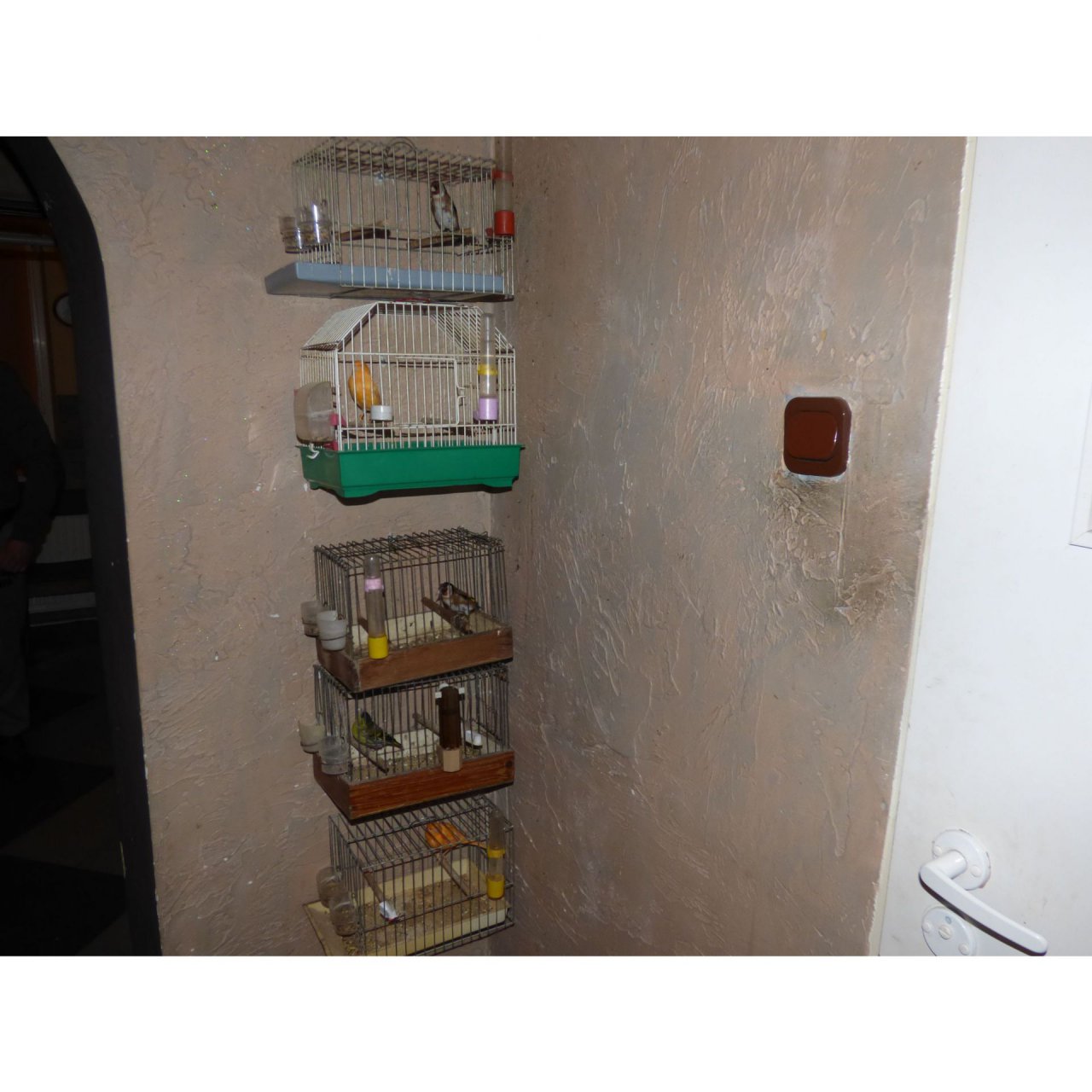 p1110752