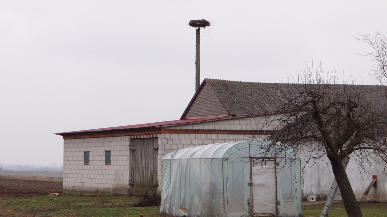 DSC09500