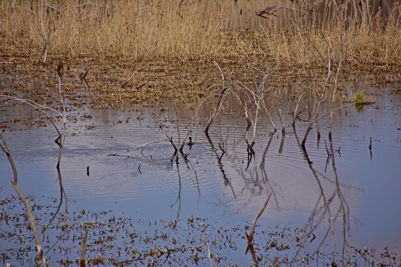 DSC01747