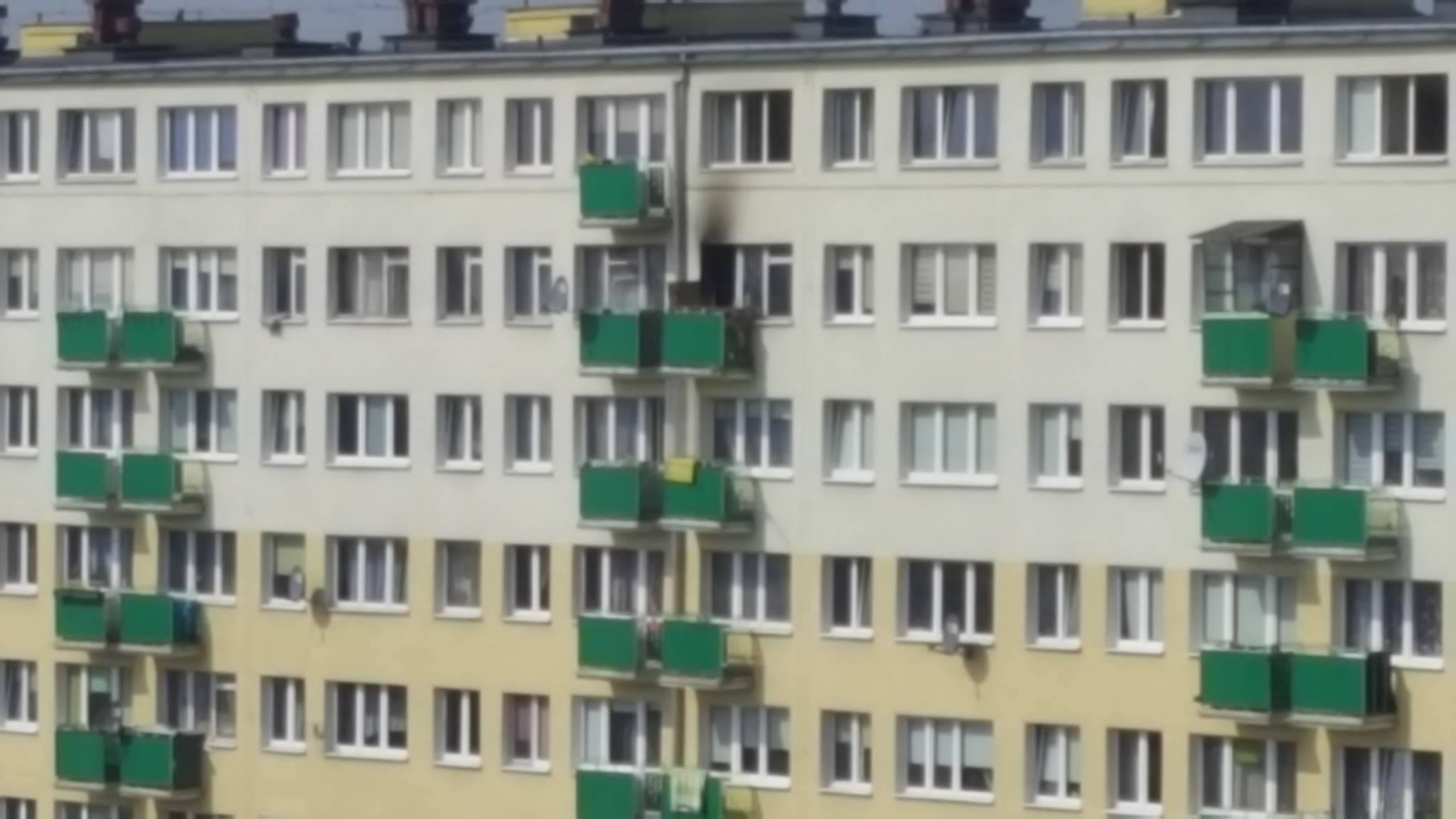17838717_1856766991015703_161551