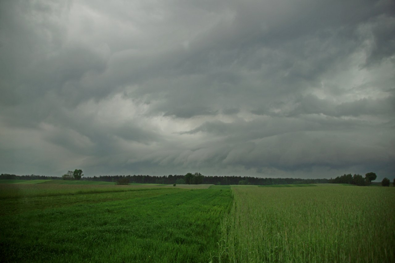 DSC06807