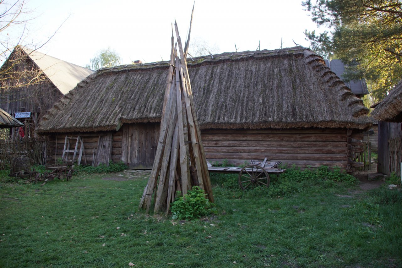 DSC03305