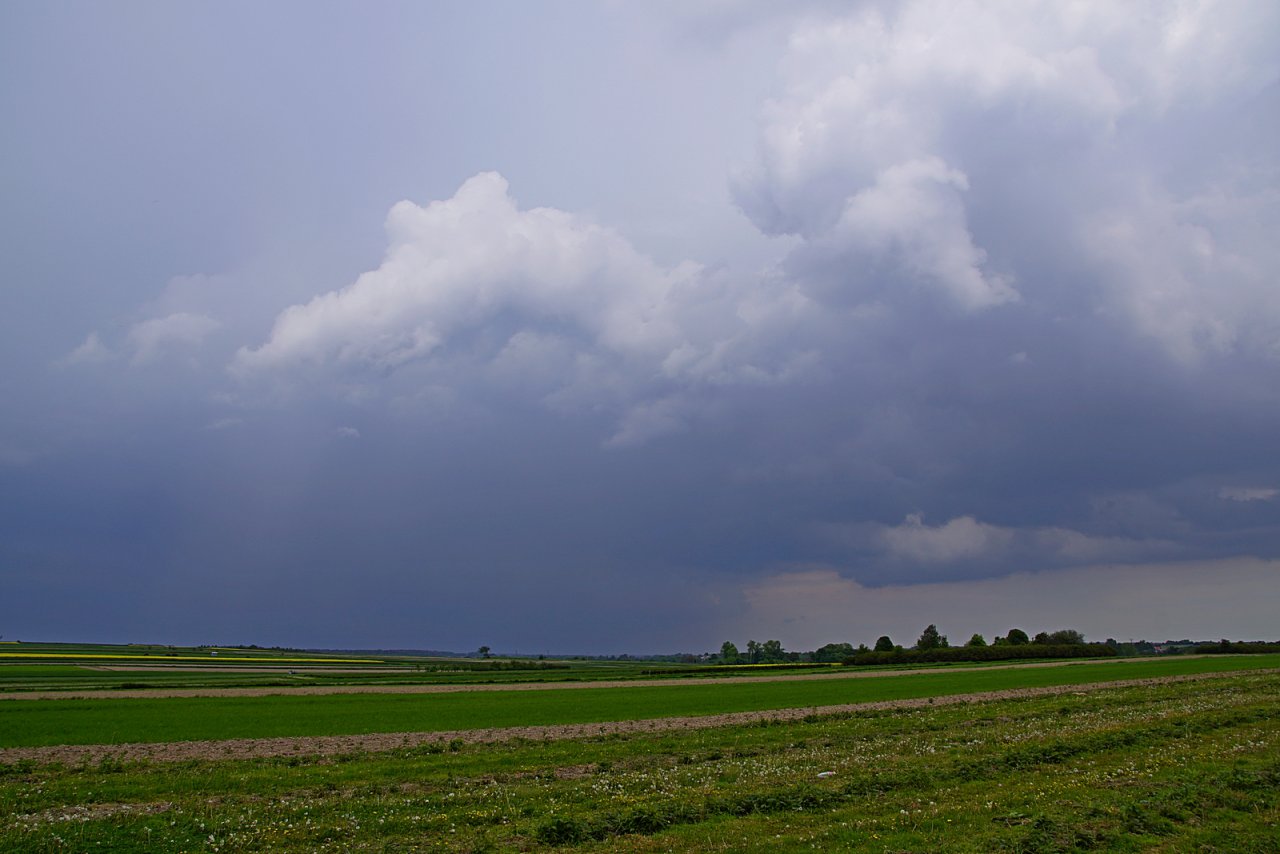 DSC06690