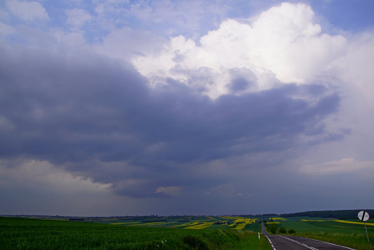 DSC06728