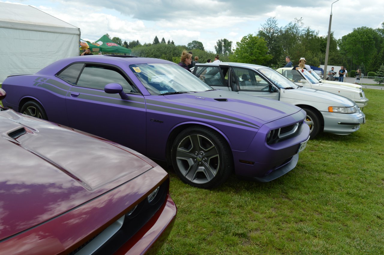 DSC_3337
