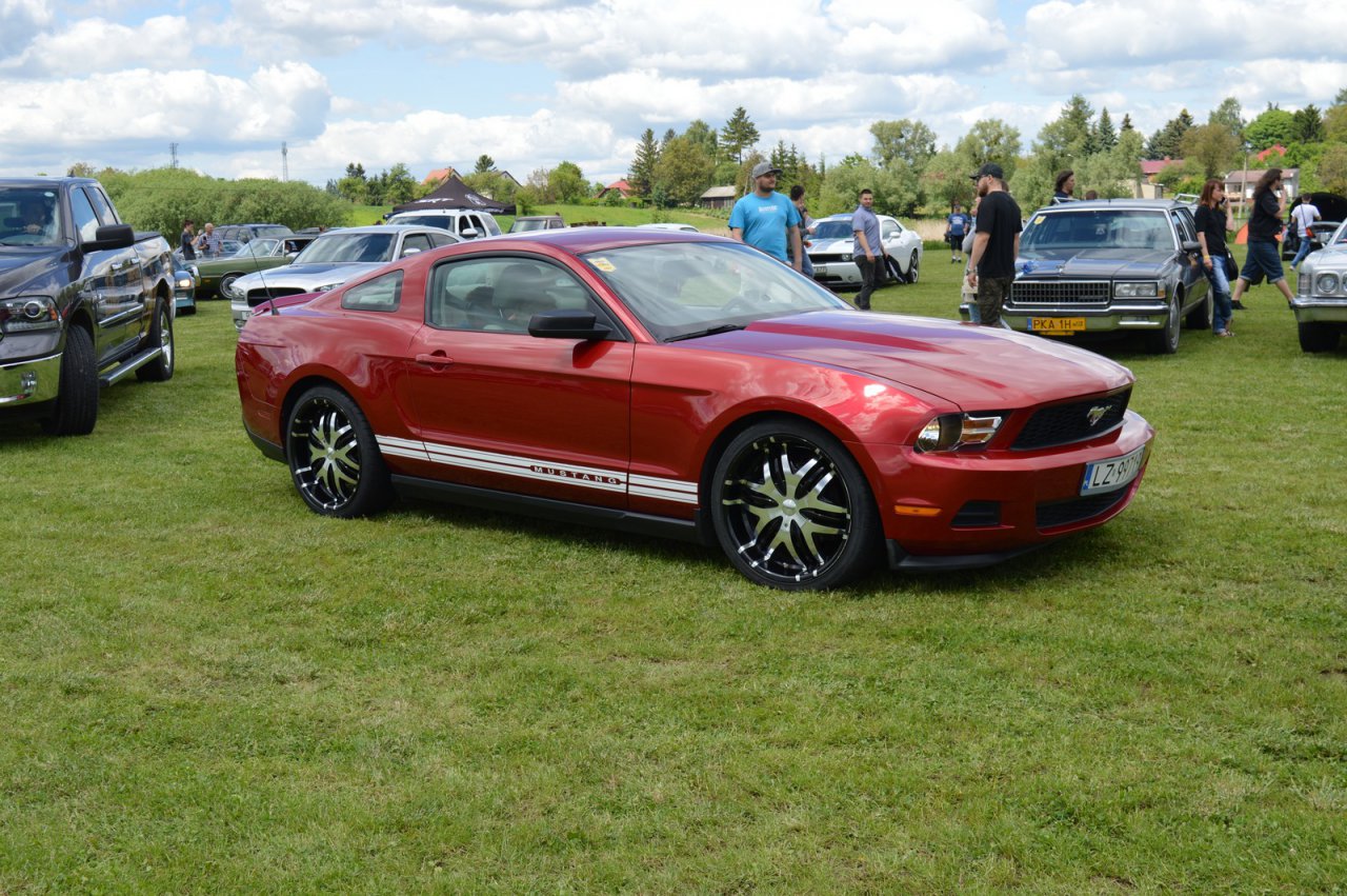DSC_3384
