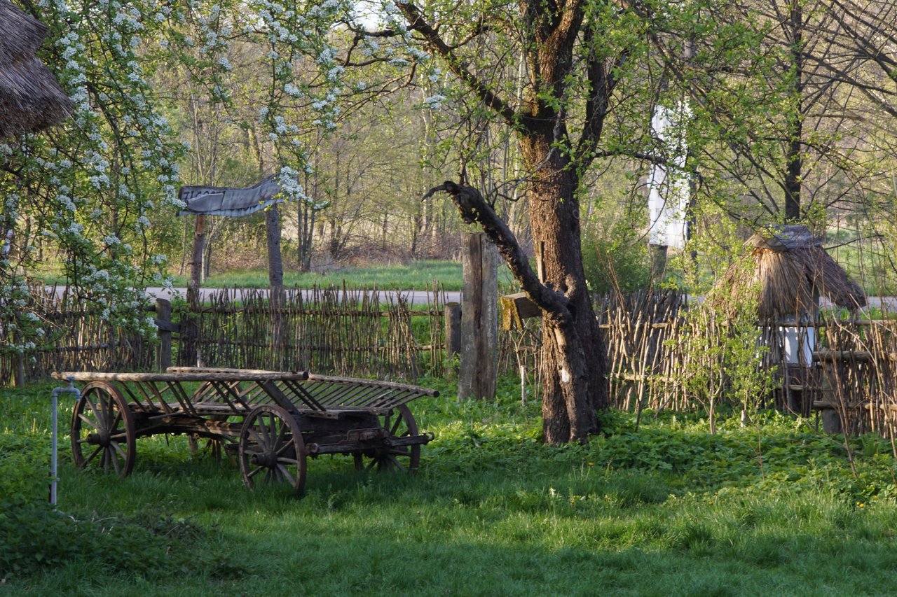 DSC03370