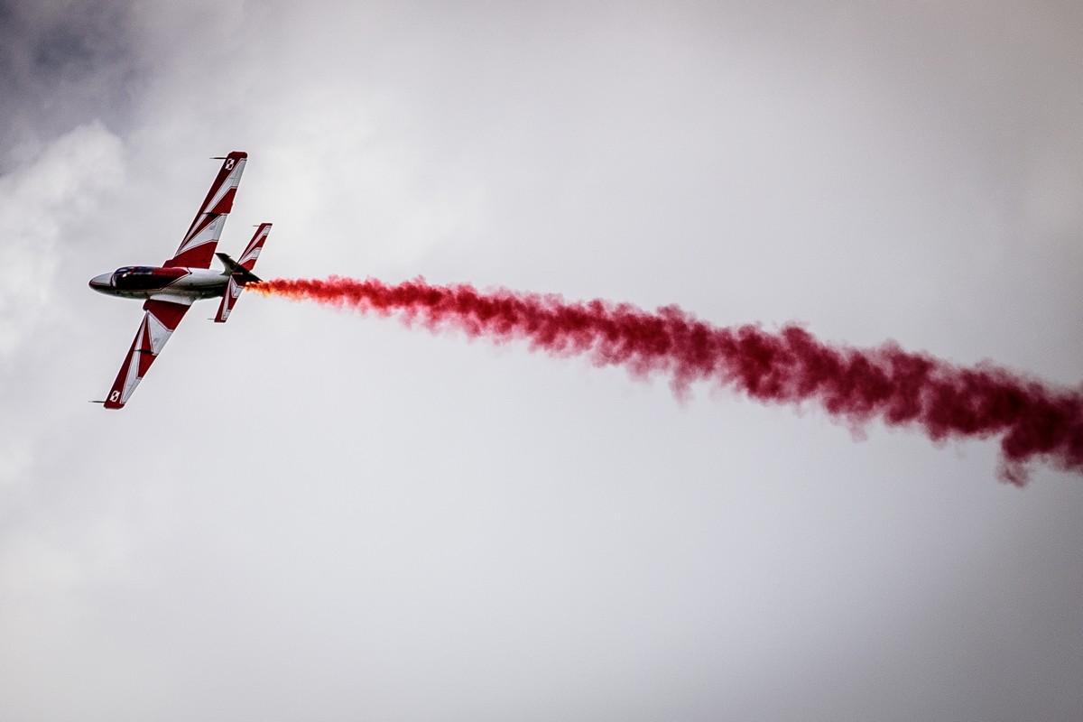 DSC_4205