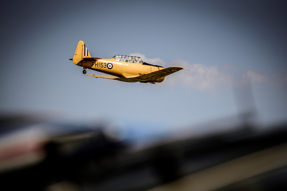 DSC_4539