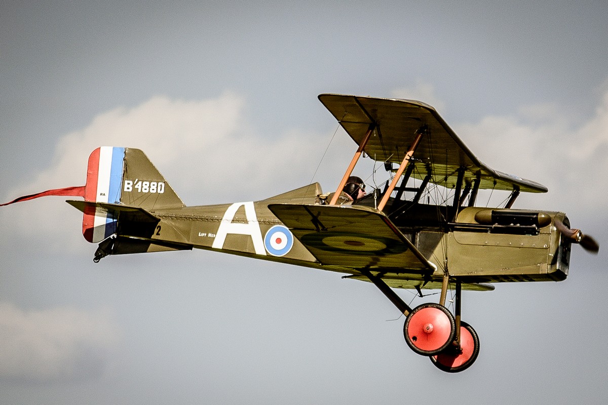 DSC_4981