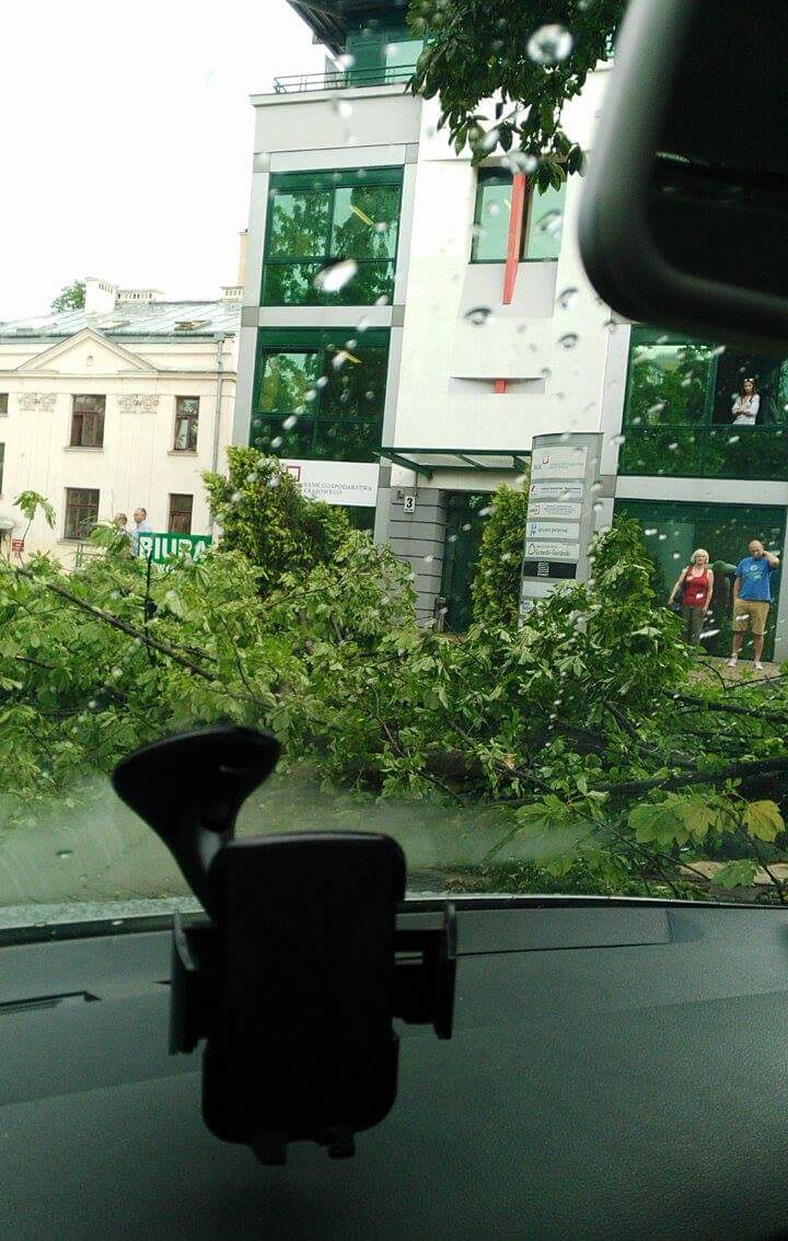 received_1357887160947332