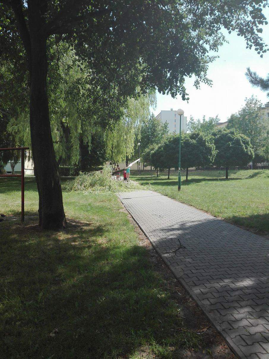 received_1561588017246895