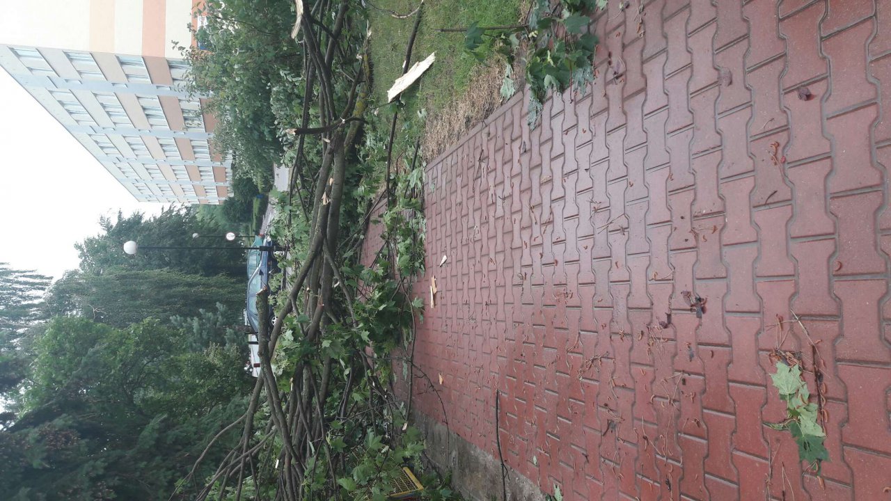 20170629_133946