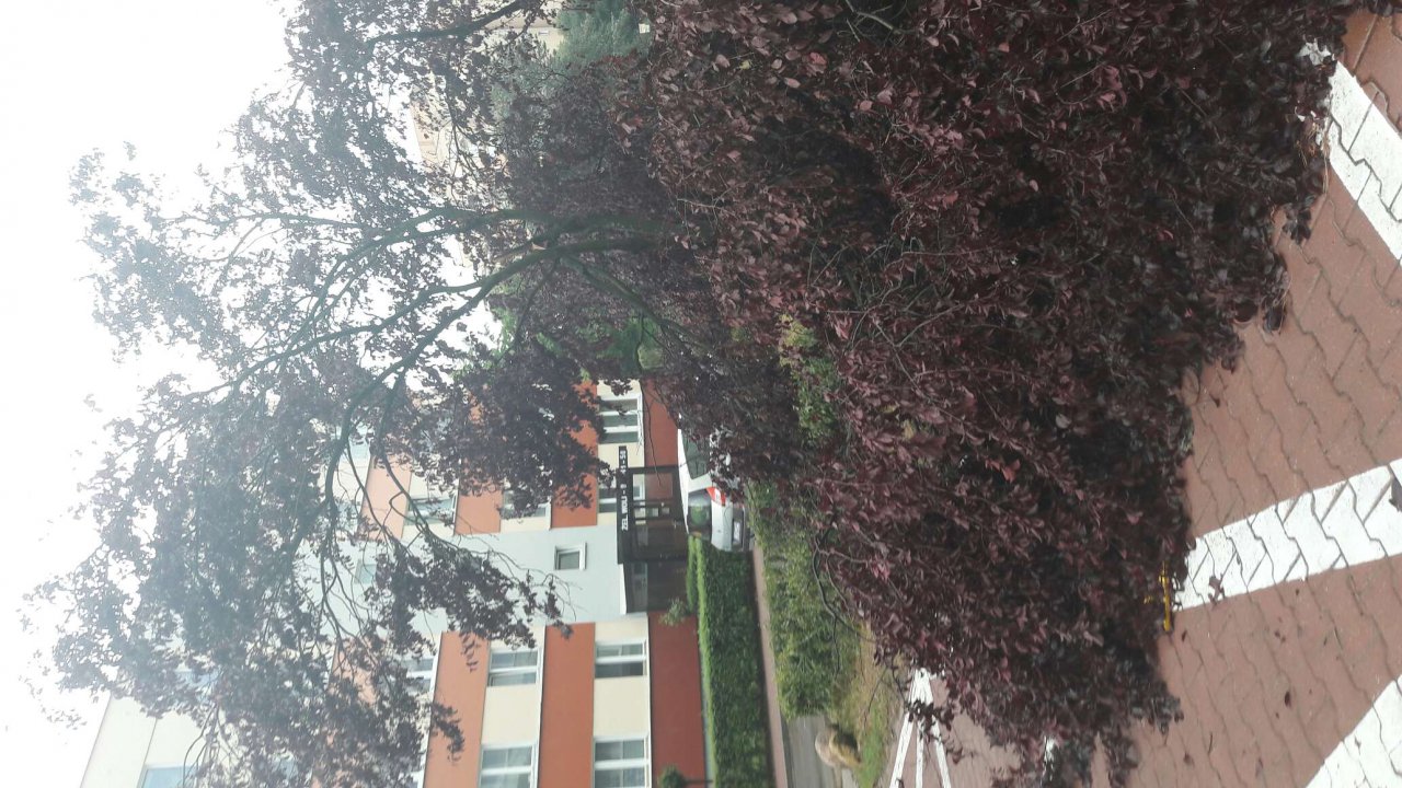 20170629_134014