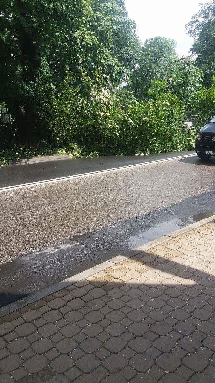 received_1464851826905049
