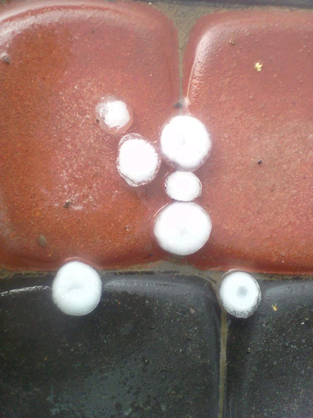 received_699712743549116
