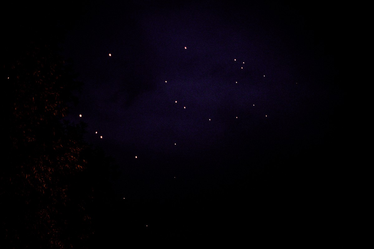 DSC_9546