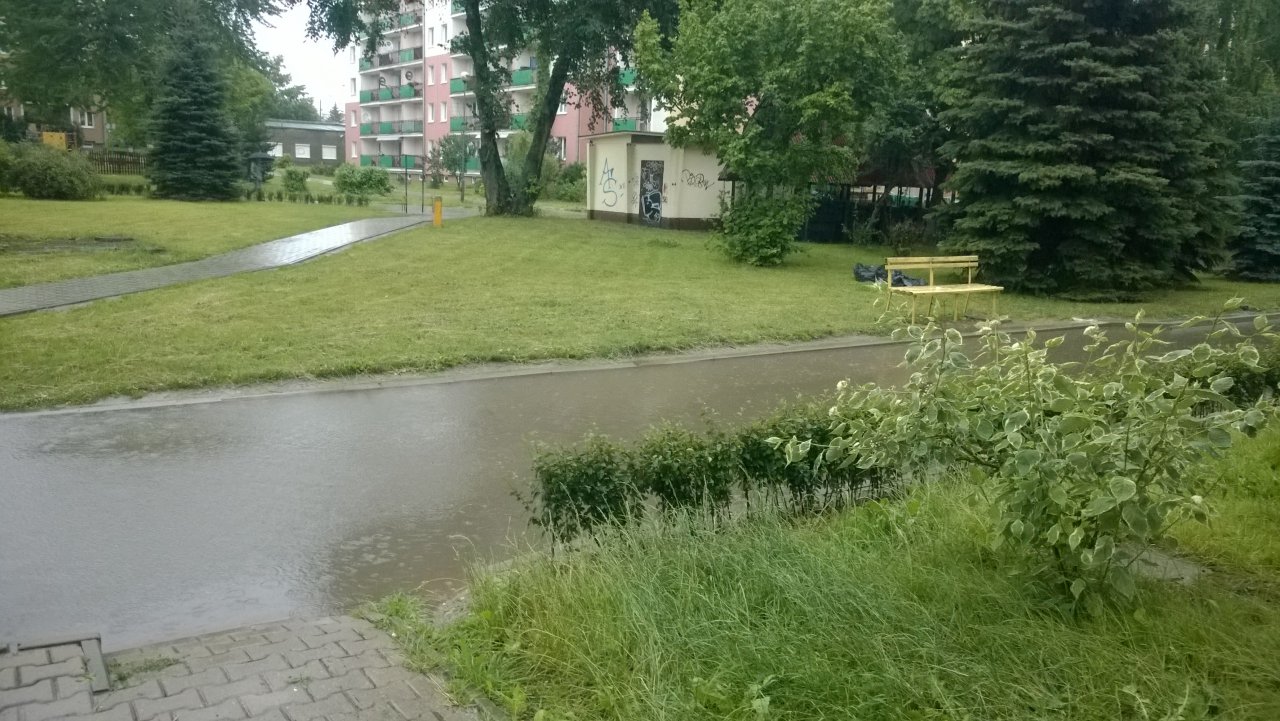 WP_20170721_002