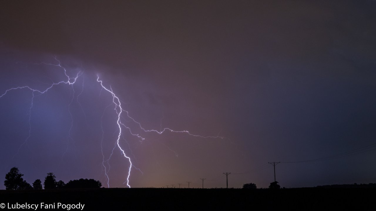 DSC_5161