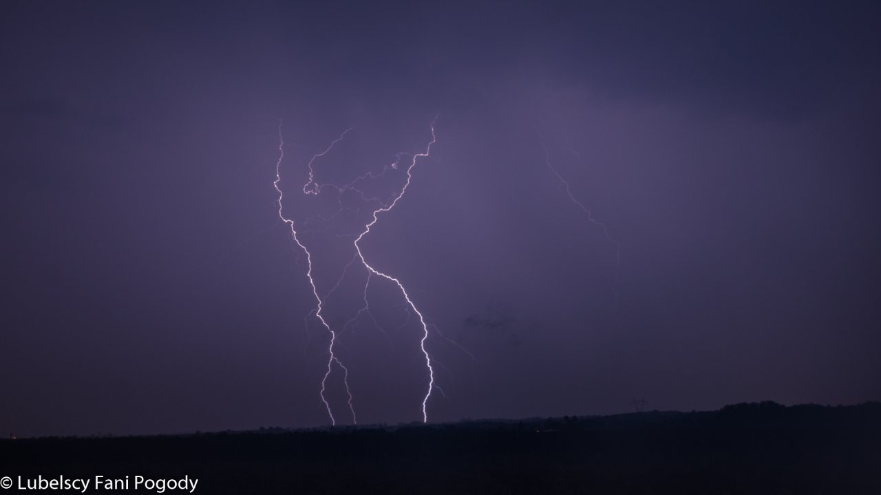 DSC_5382
