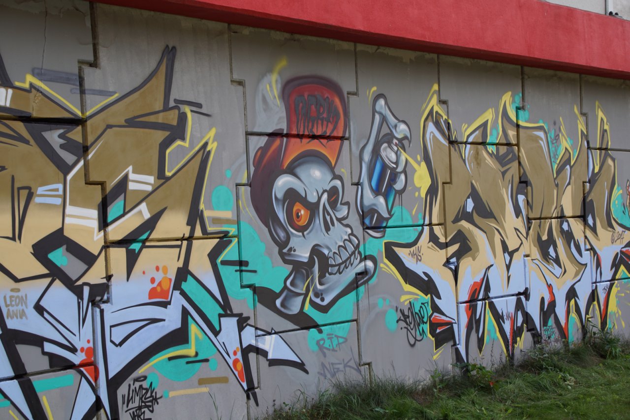 DSC07070