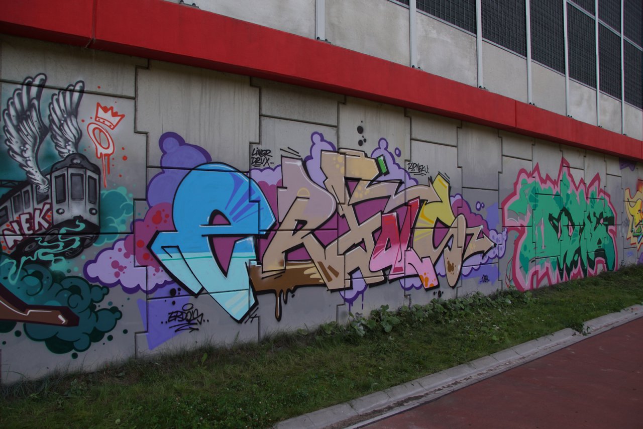 DSC07079