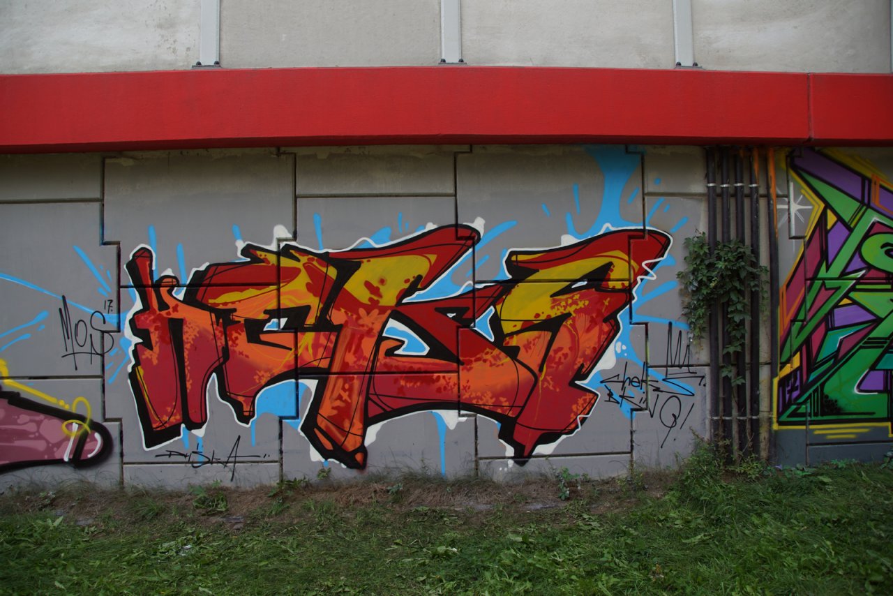DSC07081