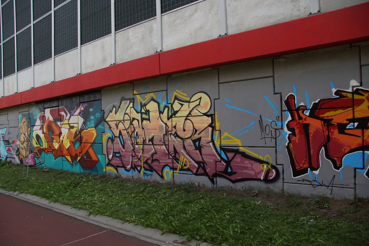 DSC07082