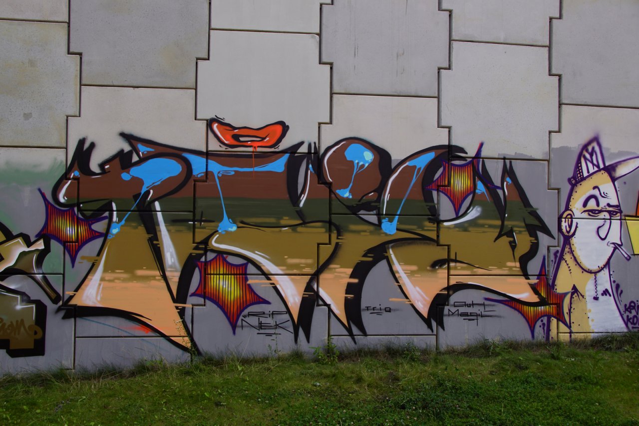 DSC07101