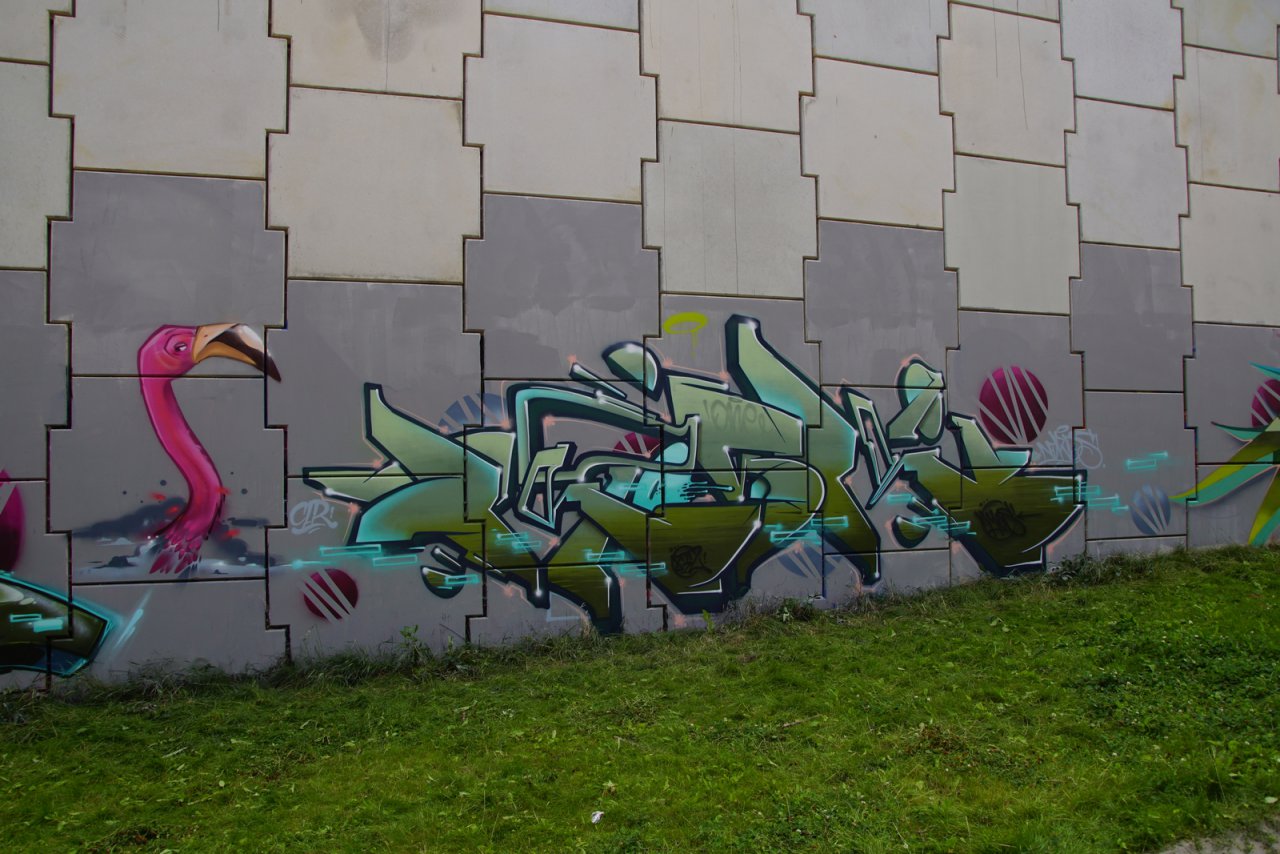 DSC07105