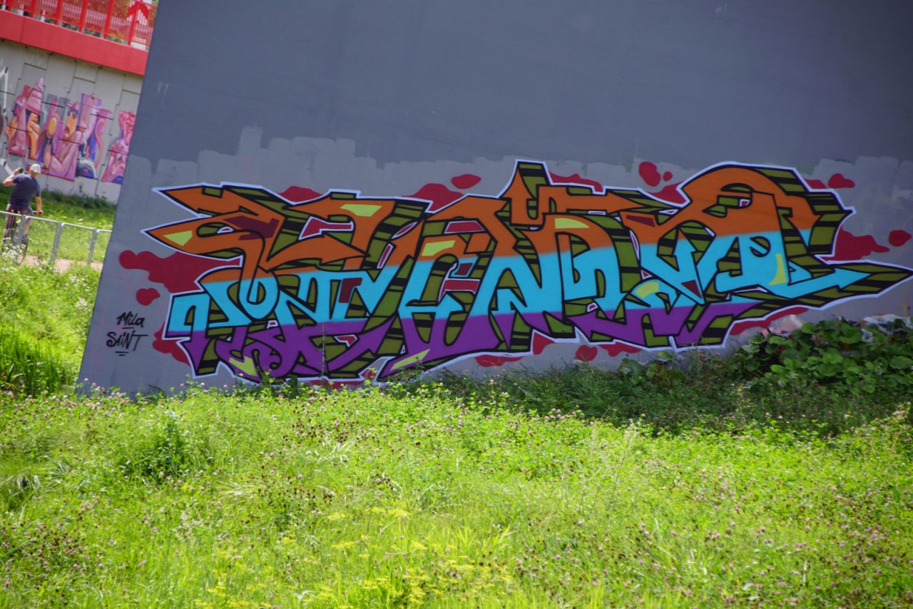 DSC07146