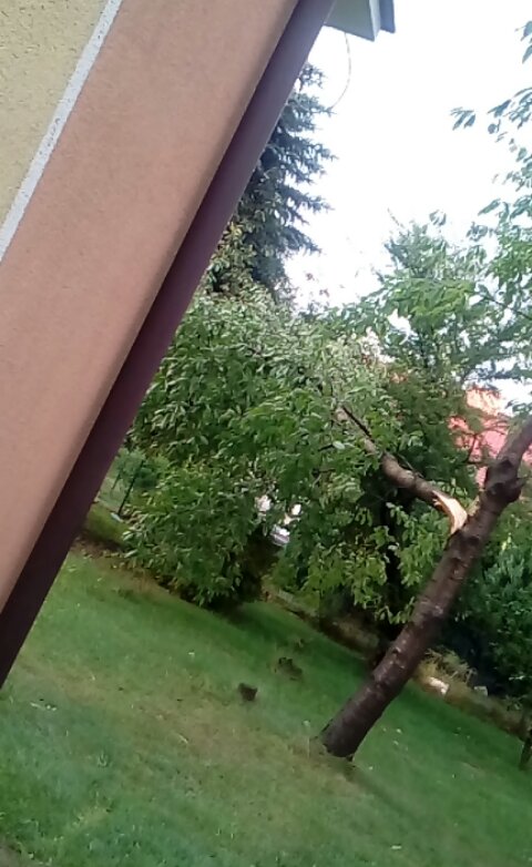 rafal2