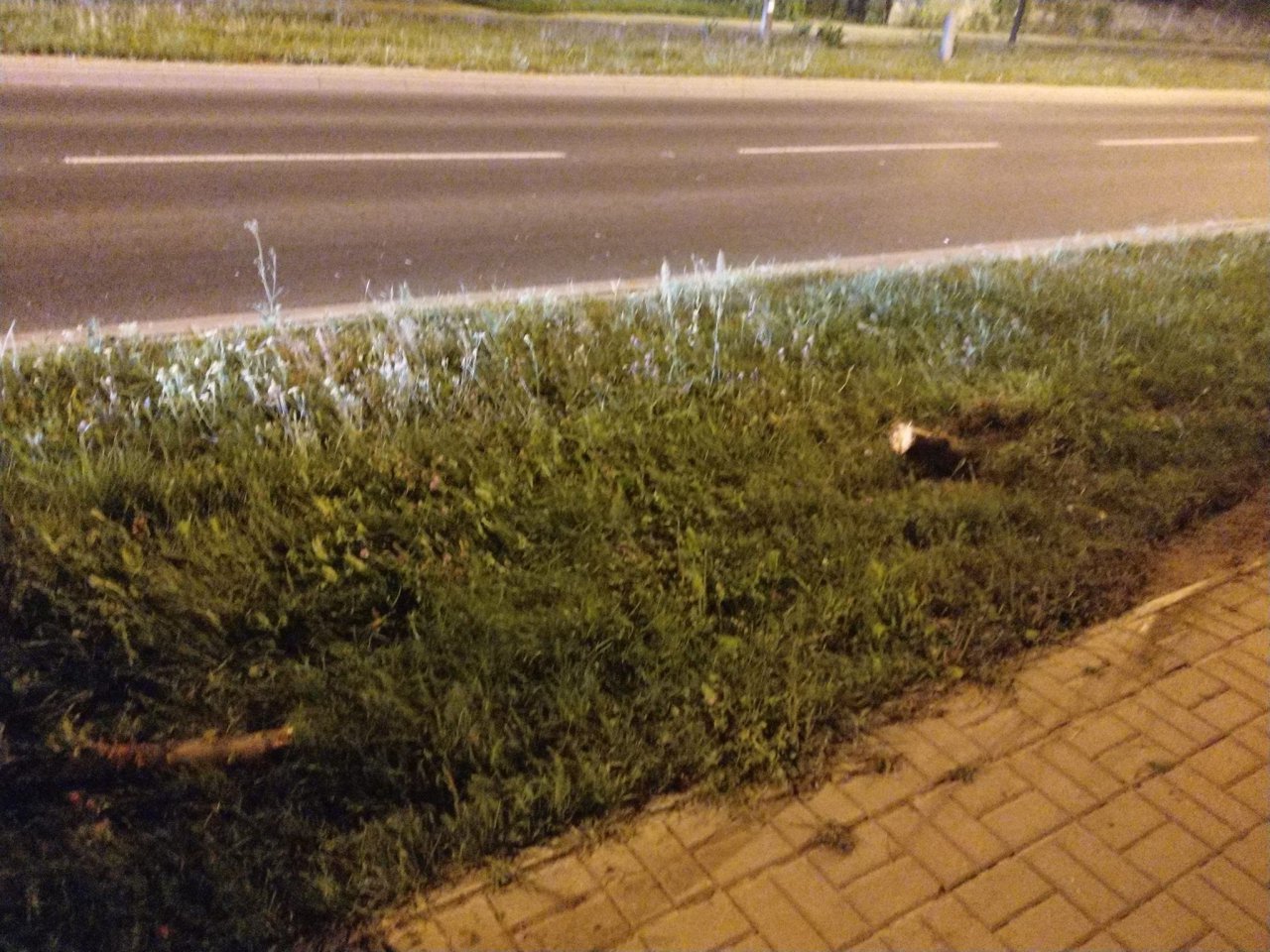 94