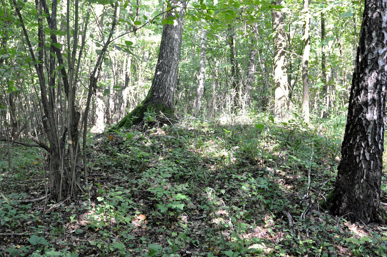 1b