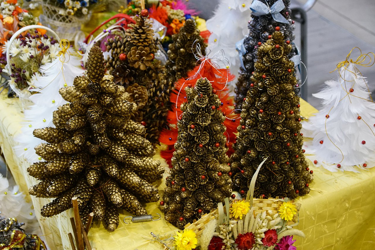 DSC04047