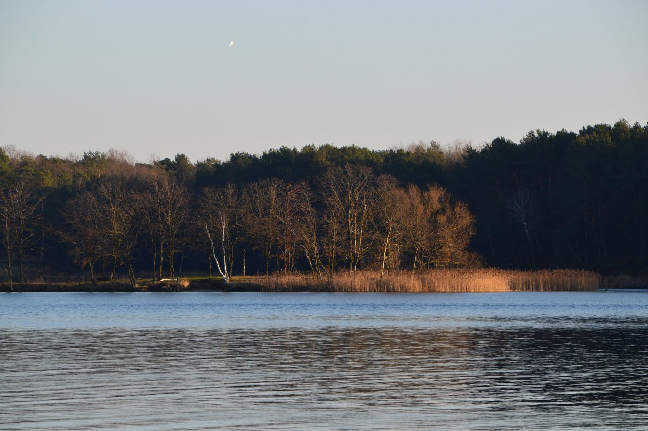 DSC_8650