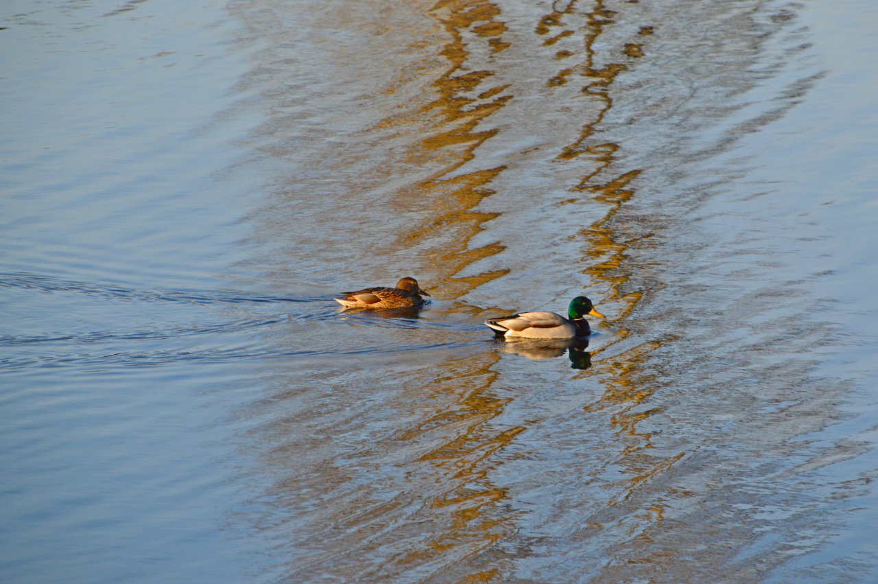 DSC_8657