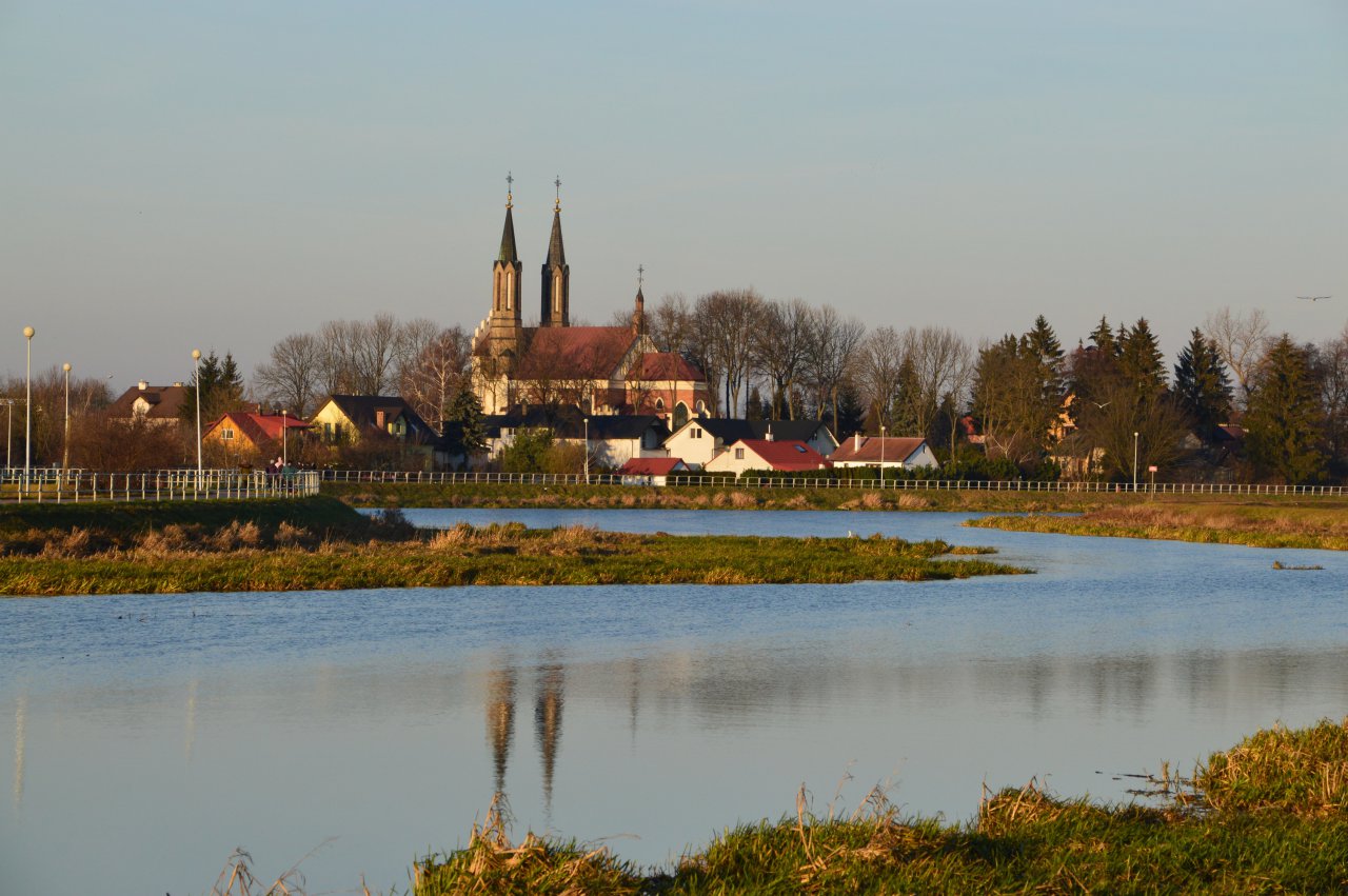 DSC_8676