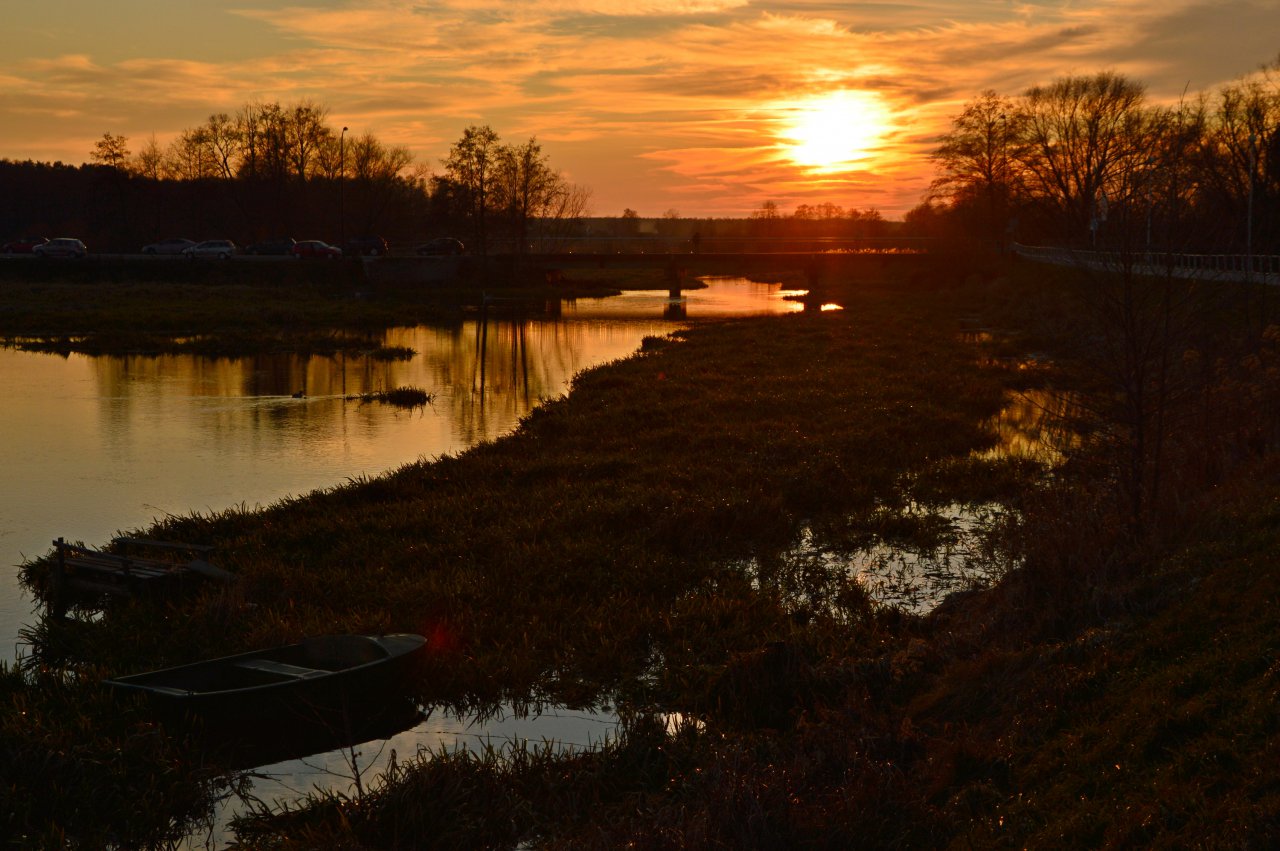 DSC_8770