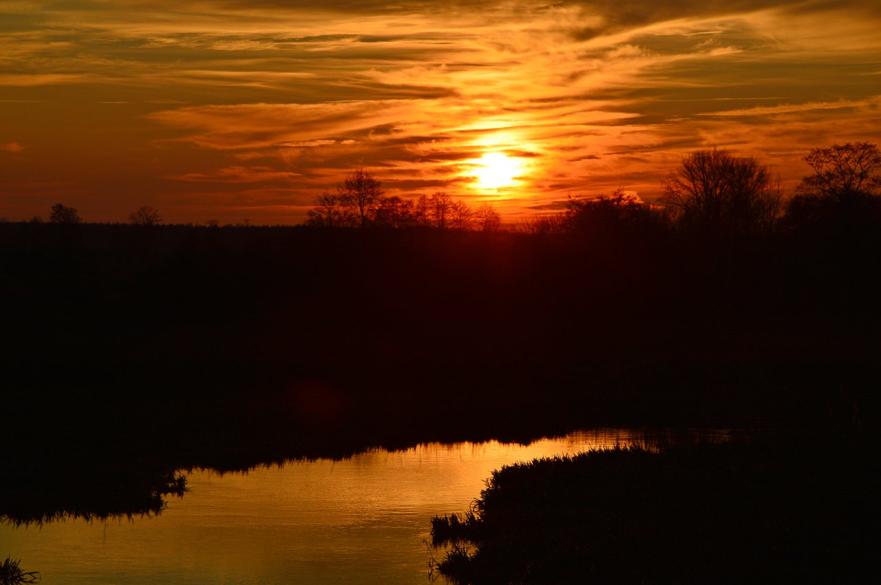DSC_8803
